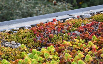 the cost of Bolventor green roof installation