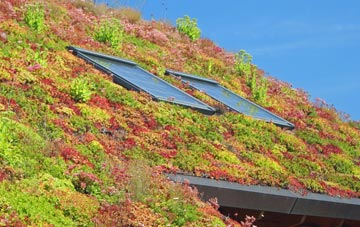 Bolventor living roof systems